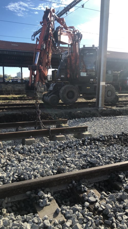 Devis transport de bois rond Lille